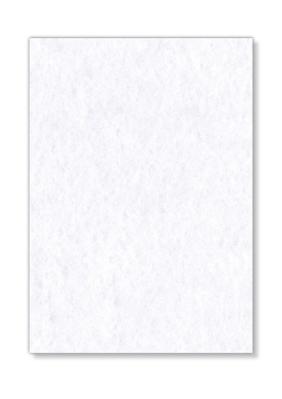 Biglietto Auguri Tigre Bianca 145x145 Mm | Con Busta Di Lusso | Carta FSC 350 G/m² | Fatto In UK