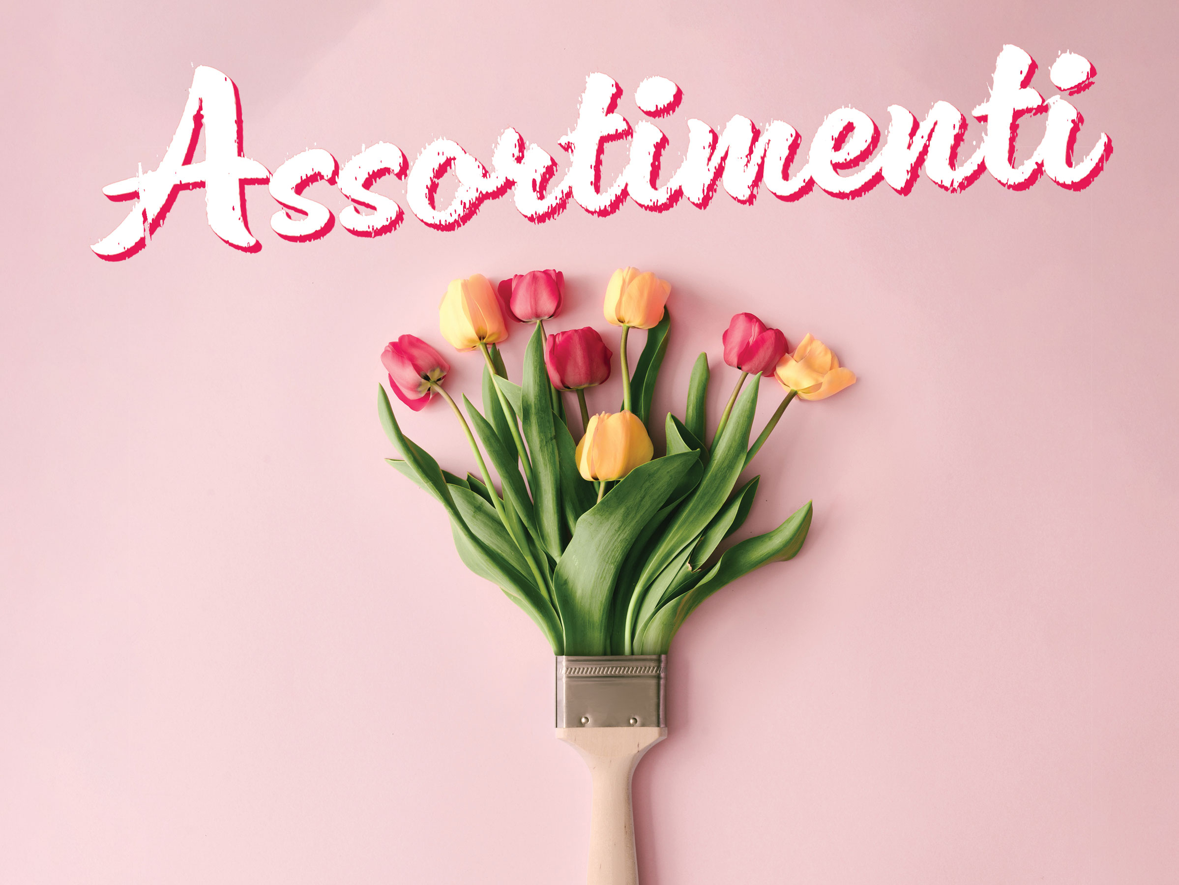 ASSORTIMENTI IN DISPLAY